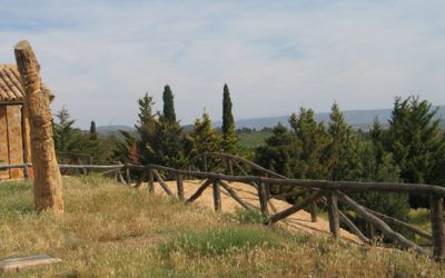 Ruta por Jarafel para conocer el Parque de Coníferas