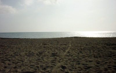 Carrera popular Platja de Piles