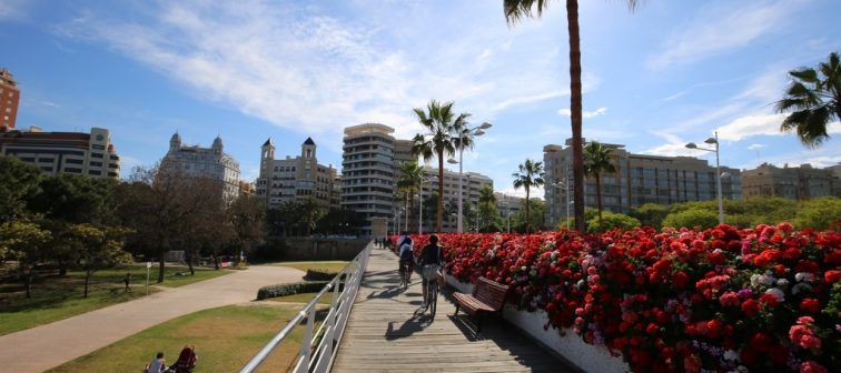 El riu Túria i els seus ponts