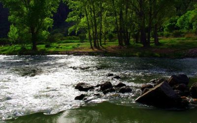 Parque Natural del Turia
