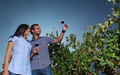 La Ruta del Vino de la D.O. Utiel-Requena: un viaje a los orígenes del Vino