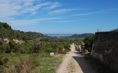 Qué hacer en Tavernes de la Valldigna