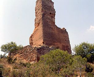 Hoya de Buñol, tierra de moscateles y mistelas