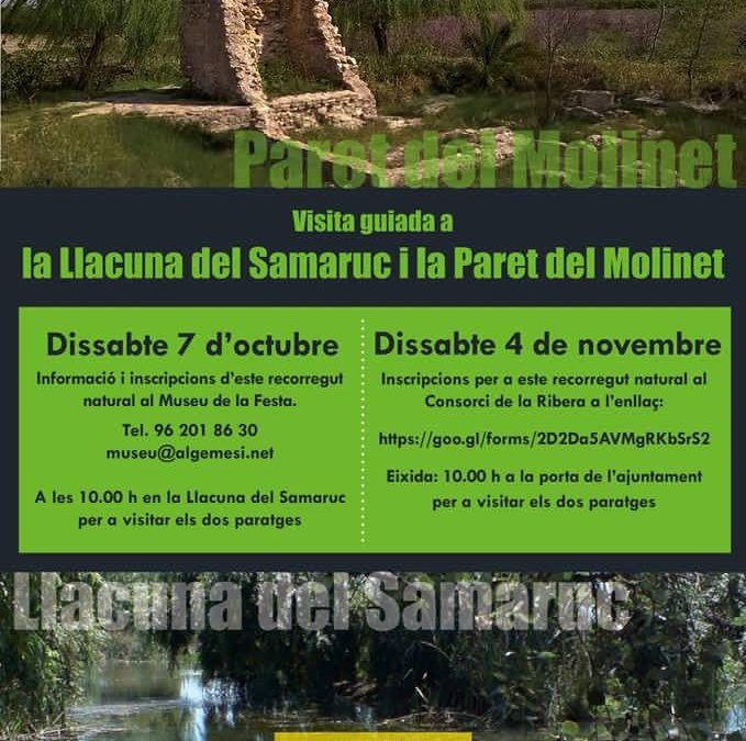 Visita la Laguna del Samaruc