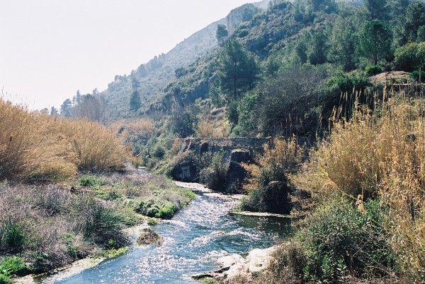 Paraje Cova Negra