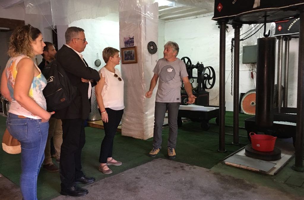 Quatretonda acentúa sus recursos oleicos tradicionales como motor turístico con ayuda de València Turisme