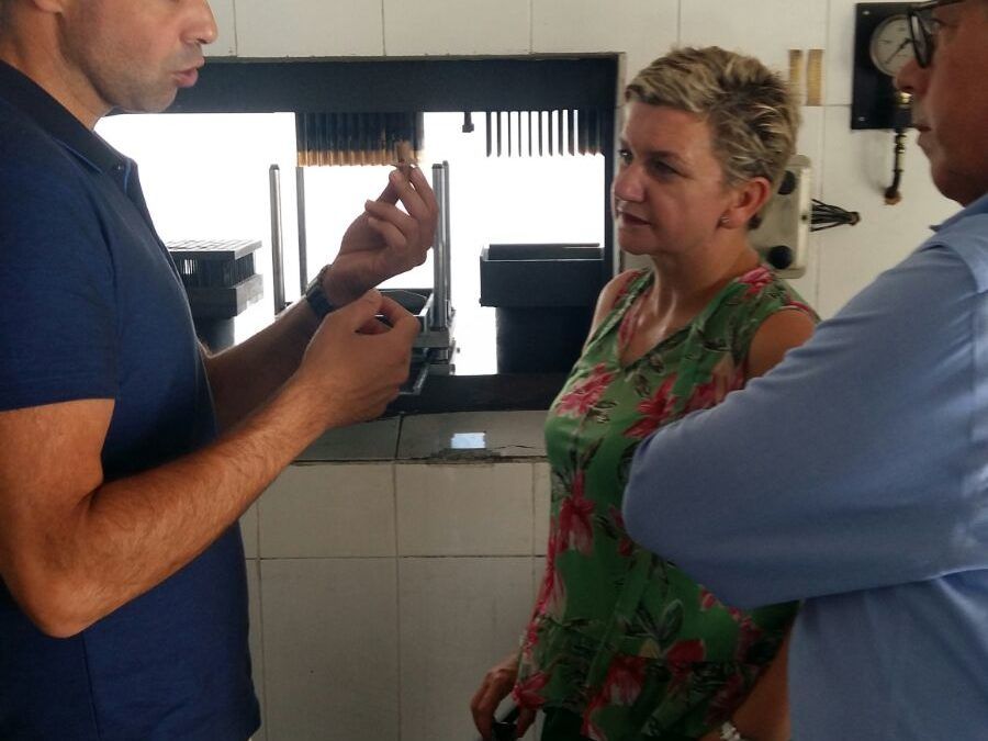 Pilar Moncho anuncia un programa turístico con valencianos de proyección internacional como Ricardo Caballer