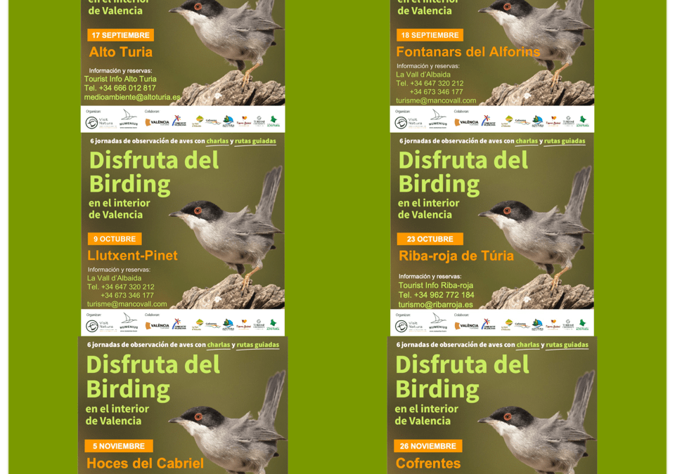 Birding en el interior de la provincia de València