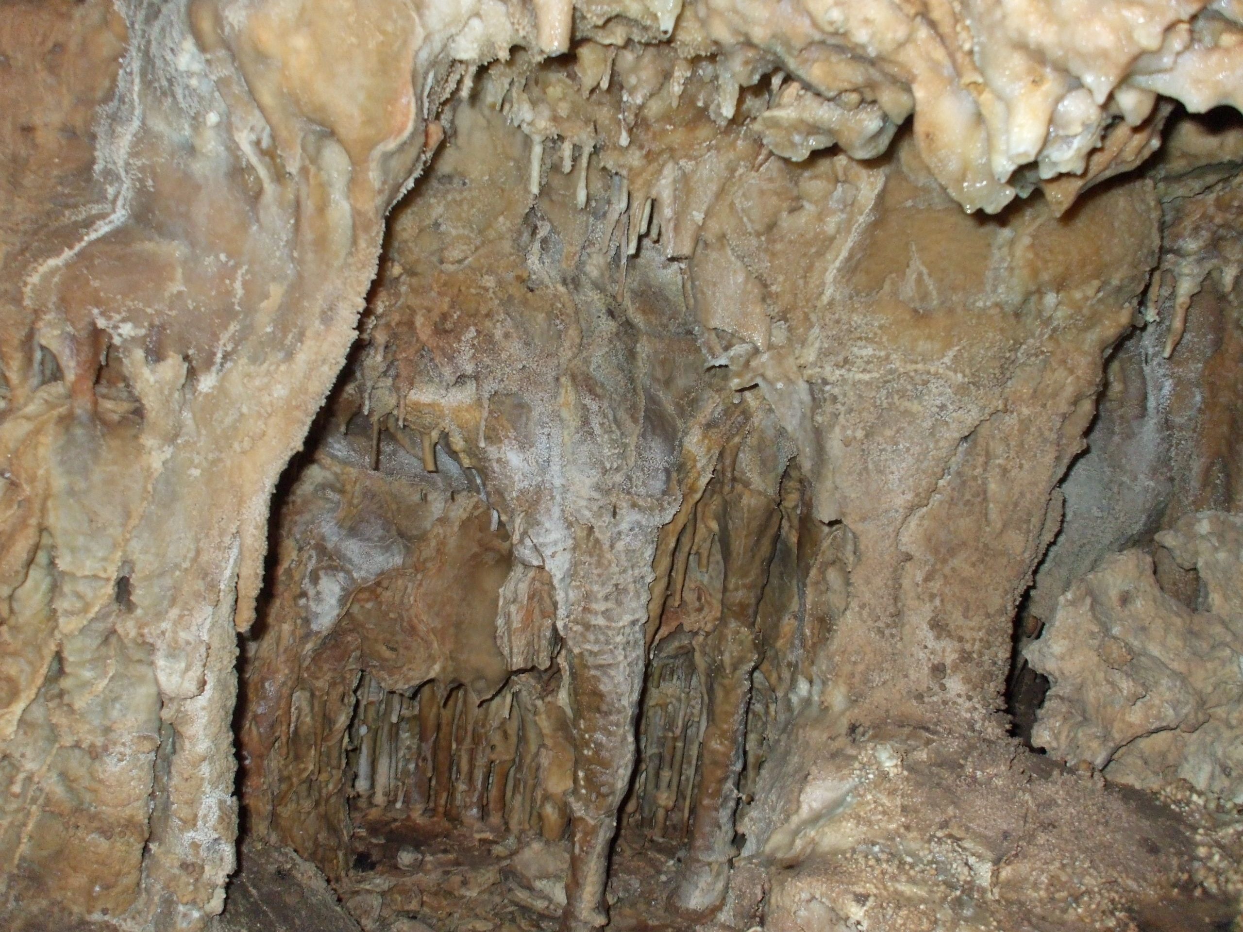 Visita los Abrigos Rupestres del Barranco de las Cuevas
