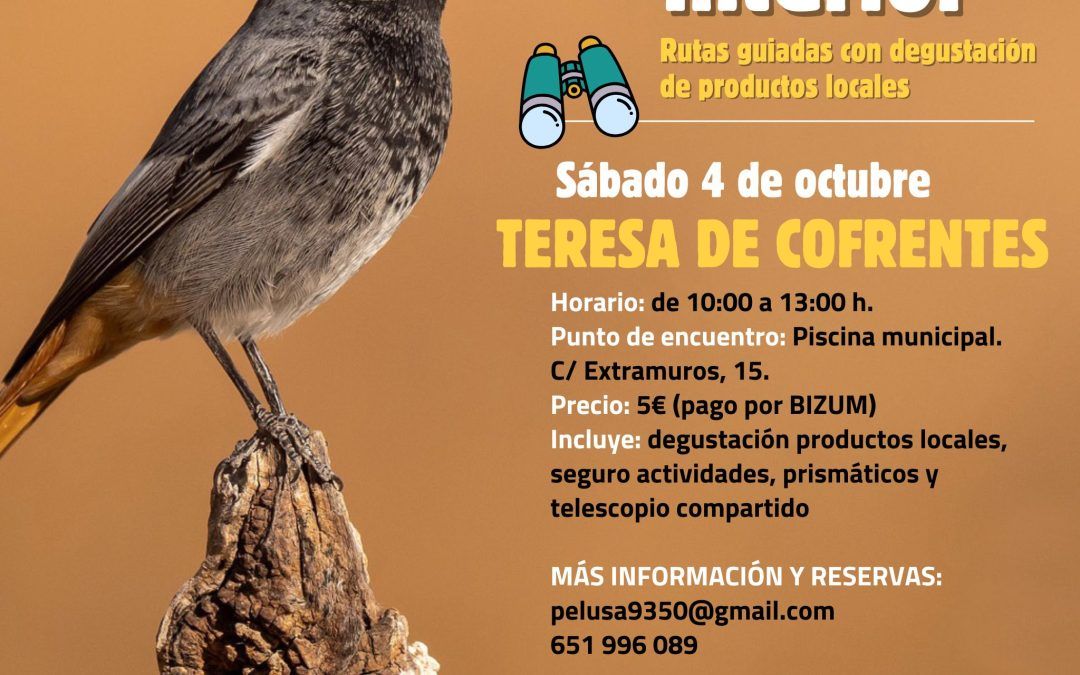 Disfruta del Birding en Teresa de Cofrentes
