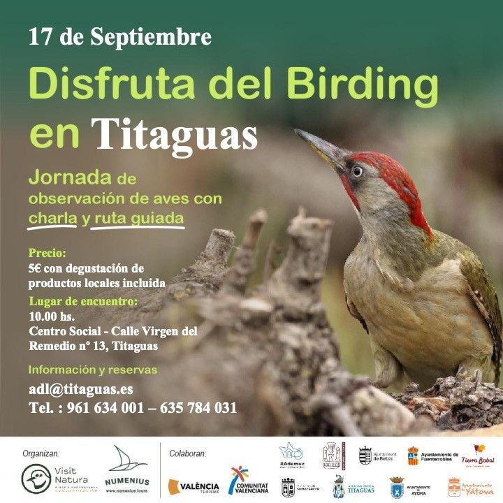 Disfruta del Birding en Titaguas