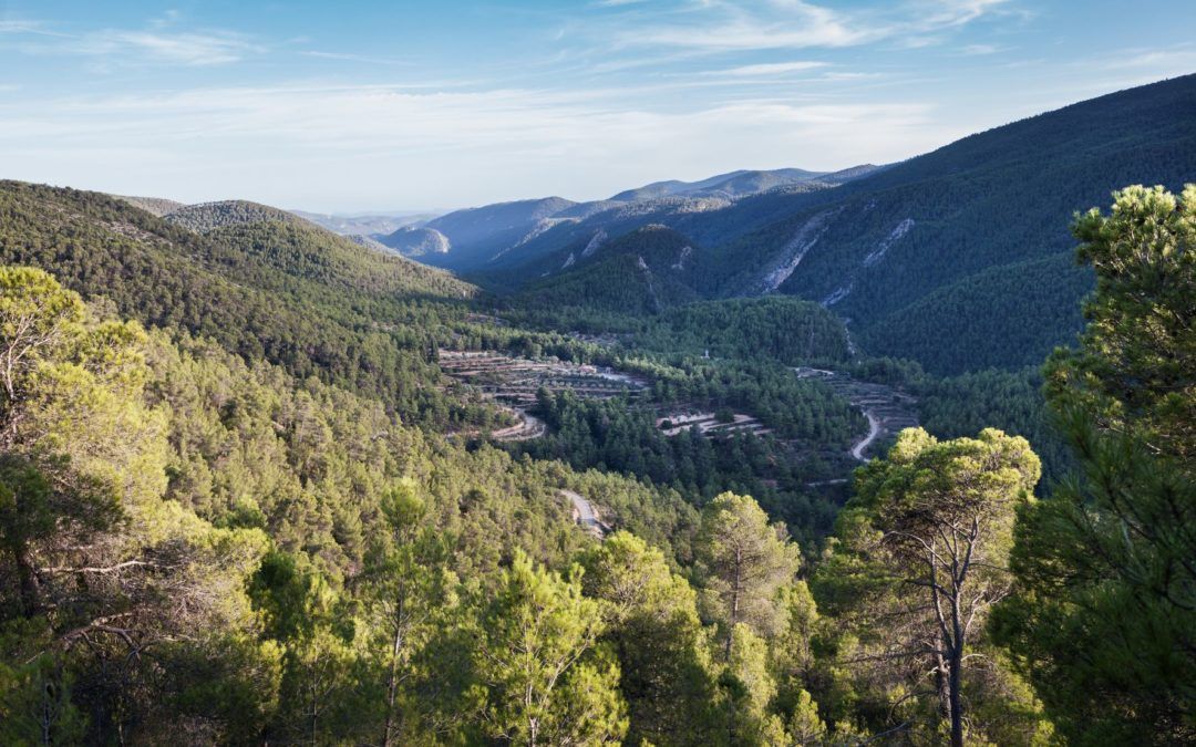 Reserva de la biosfera