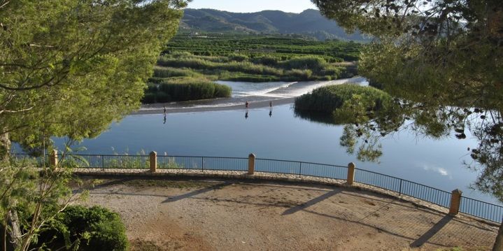 Paratge natural de l’Assut d’Antella-Creueta Alta.