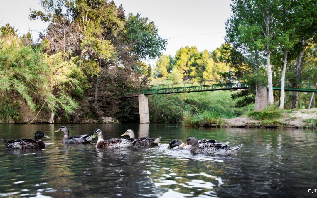 Parc Natural del Túria