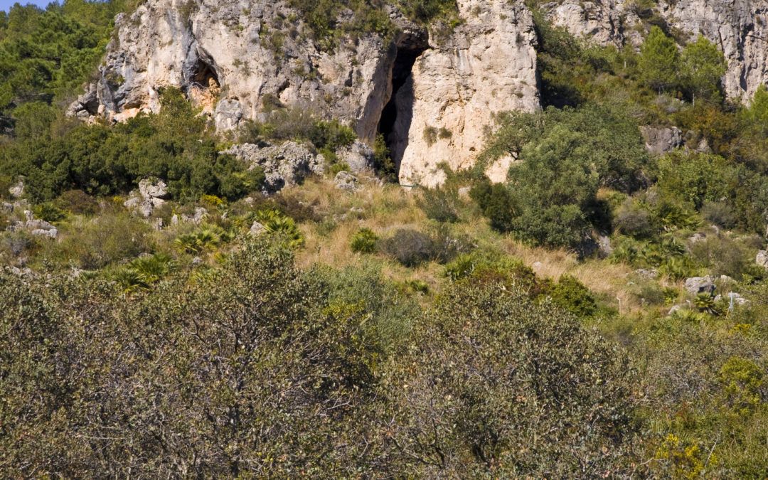 Cuevas del Parpalló