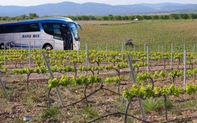 El Vinobus Ruta del Vi DOP Utiel-Requena connecta València amb 2.700 anys de cultura del vi