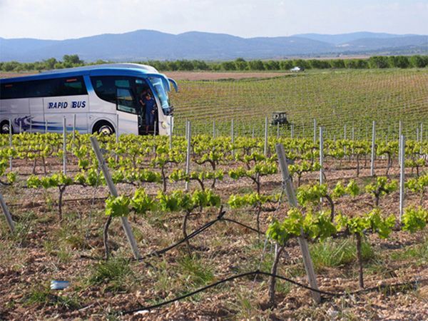 El Vinobus Ruta del Vi DOP Utiel-Requena connecta València amb 2.700 anys de cultura del vi