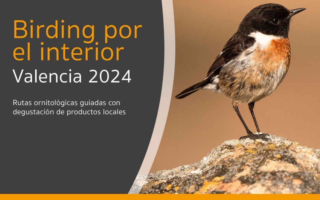 La Diputació de València impulsa el turisme d’observació d’aus a l’interior de la província