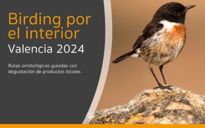 La Diputació de València impulsa el turismo de observación de aves en el interior de la provincia