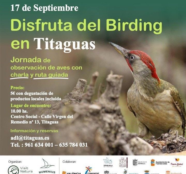 Disfruta del Birding en Titaguas