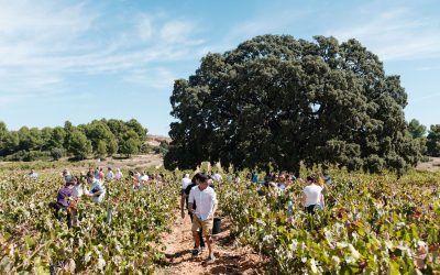 La Diputació de València celebra el Día Mundial del Turismo 2024 con actividades en diversos municipios