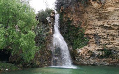 Visita Cortes de Pallás