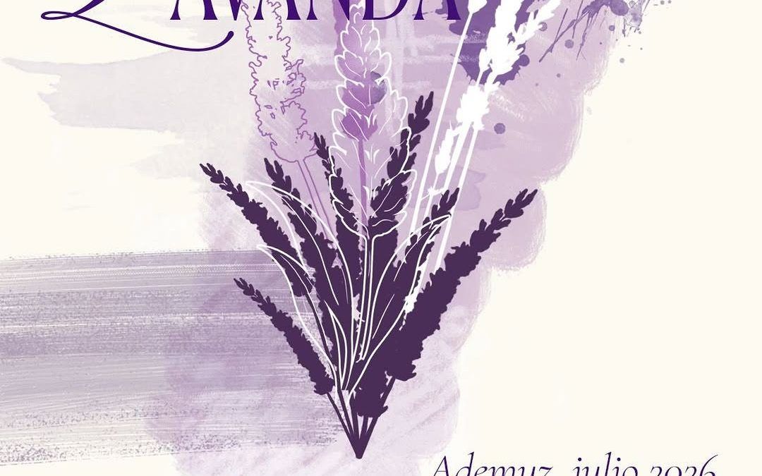 Floració de lavanda a Ademuz