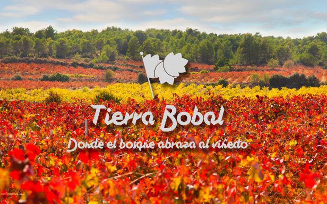 Eventos de septiembre en Tierra Bobal