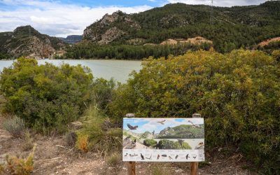 La Diputació convoca las ayudas ‘Impulsem Turisme’ 2025 para inversiones que configuren productos turísticos locales más competitivos