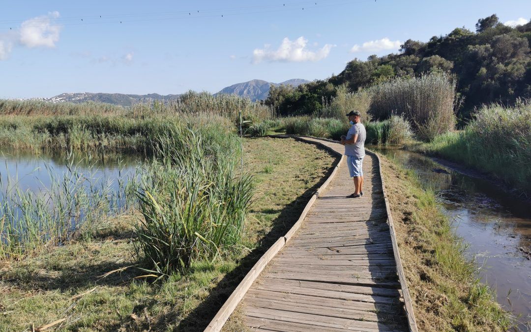 Ruta por Oliva y Villalonga