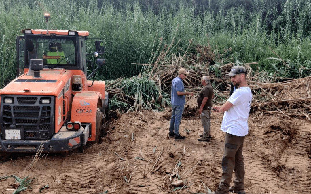 La Diputación impulsa la recuperación de la ribera del río Turia afectada por la dana en Vilamarxant